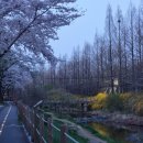 장수천수산