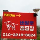 강화 버팔로 캠팜 티스토리