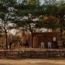 에스타시온 이미지