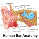 바디플로우짐 이미지