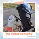 카플러스 | 아기 유모카 에이블 스핀플러스 유아 트라이크 내돈내산 실사용 후기