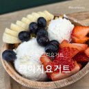성수동 맛집 레이지요거트 위치 메뉴 그릭요거트 후기