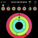 호식이짬뽕 이미지