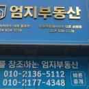 엄지부동산중개사무소 이미지