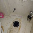 행정동 화장실 이미지