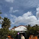 키즈까페어린왕자 | 서귀포 아기랑 갈 만한 곳 | 동물 먹이주기 체험, 귤 따기, 캠프파이어 등 경험할 수 있는 어린왕자감귤밭