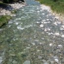 계곡민박 이미지