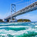 황금바다 C, D 이미지