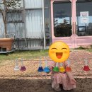딸기어린이집 | 주말 아이랑 체험 추천｜용인 포레스트벨 체험농장 (딸기농장, 동물먹이주기, 모래놀이)