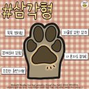 탑애견 이미지
