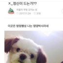 옛가 칼국수 이미지