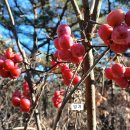 심천면 금정1리 경로당 | 서산 전말산, 전라산, 부엉산, 옥녀봉, 비단골산, 수리봉, 바루산