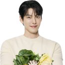 더 샤브데이 이미지