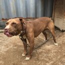 산청초등학교 이미지