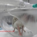 아쿠아동물병원 이미지