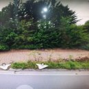 신구리농장 이미지