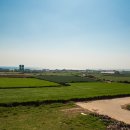 제주머물다 이미지