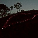라성 티스토리