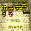 우물안 개구리 콘서트 이미지