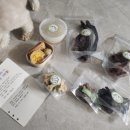 꼬숩당개 이미지