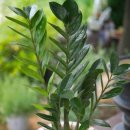 퍼진궁뎅이 이미지