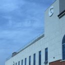 유채하우스 | 창원 가볼만한곳 주남저수지 유채꽃, 대형 카페 그린하우스 주남점 후기