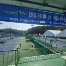 안동시민운동장 테니스장 테니스코리아