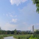 중앙공원무대 뒤 이미지