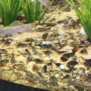 글래드성형외과의원 이미지