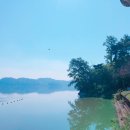 예당관광지 B-야영장 이미지