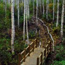 인제 관광안내소 이미지