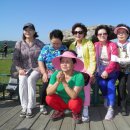 안남초등학교 이미지