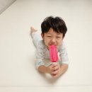 달하우스 | 크림하우스 프리2 한 달 사용 후기, 청소하기 편한 매트 추천, 층간소음 해결 국민매트