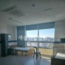 새솔한방병원 이미지