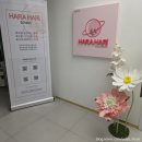하라하리