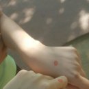 대명2동 주민센터 이미지