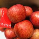 아삭아삭청과유통