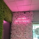 중랑구폴댄스 중랑구다이어트 /포레스트폴댄스 사가정점 후기