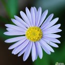 문화재답사 이미지