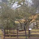 강화읍-18 | 강화도 여행 역사유적지 강화전쟁박물관 갑곶돈대 주차 및 전시실 정보