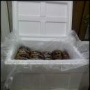 GL노인복지센터 이미지