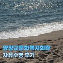 초심회관 | 양양군 실내수영장 양양군문화복지회관 수영장 자유수영 후기