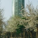 세기메디칼 네이버블로그
