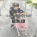 여주-0480 | [경기도/여주] 아이와 여주 딸기농장 체험 후기｜피크니코 딸기따기부터 놀이터까지