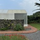 뉘드뽀즈 이미지