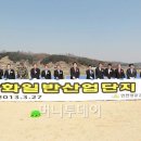 강화산업단지 머니투데이