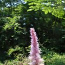 제2금강산 등산로입구 이미지