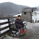 경재목장 이미지