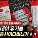 프라메디