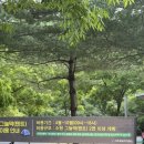 난지천4(놀이터) 이미지